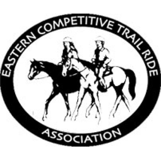 cropped-ectra-logo-square.jpg