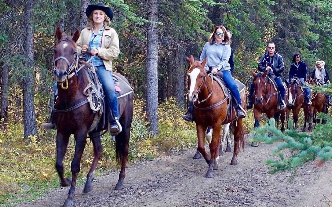 cropped-riding-1935051_1920.jpg