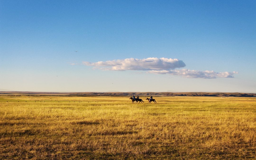 horseback-riding-678678_1920