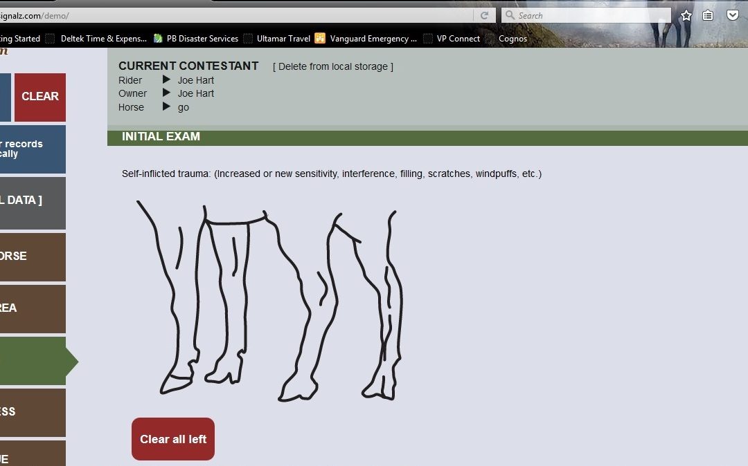 Legs