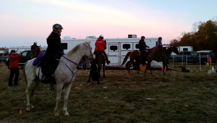 Waiting_Mustang_2014