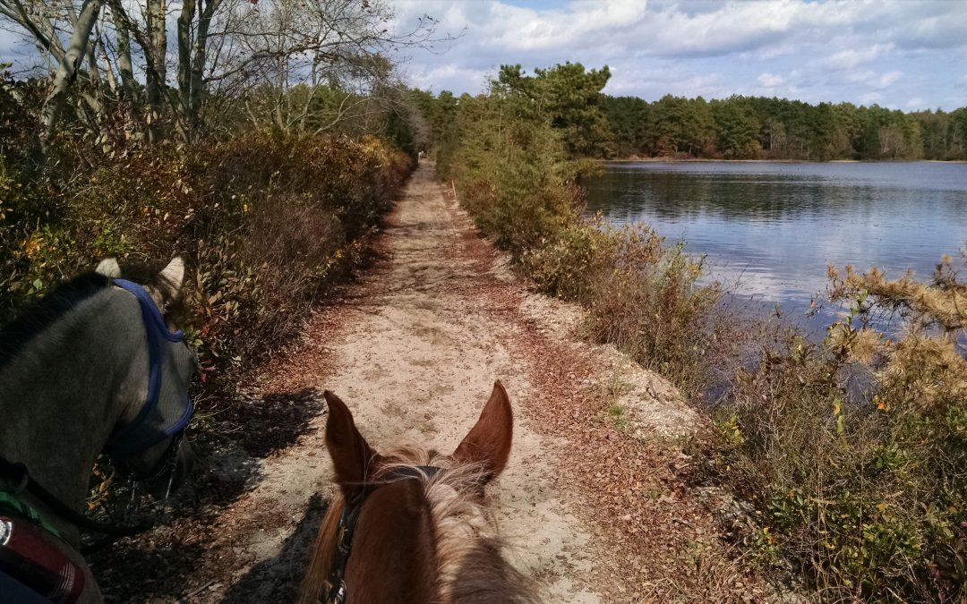 By pond with Lulu