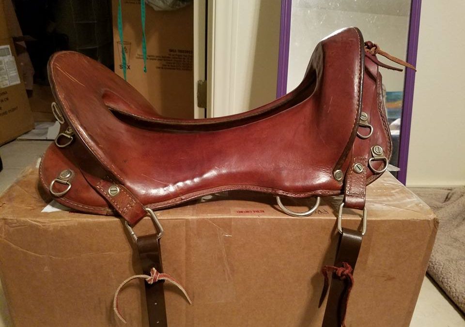 Calvary saddle