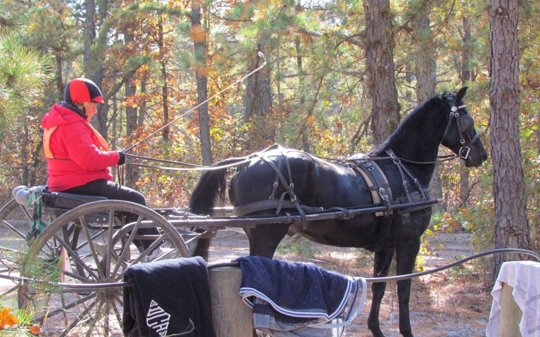 Cart about to go out