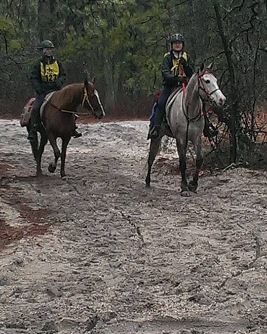 Coming off trail NJ