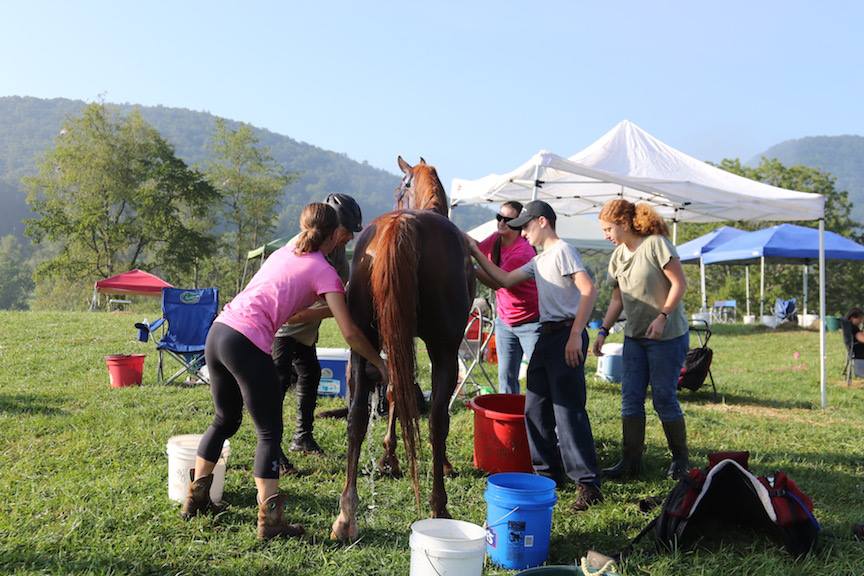 Crewing