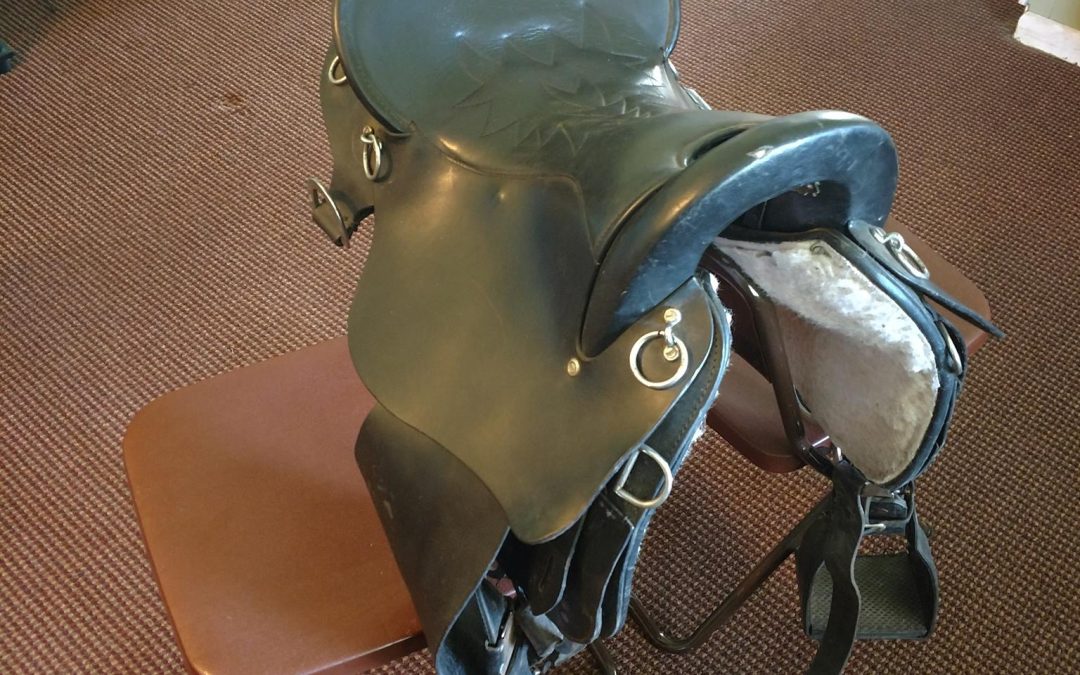 Endurance saddle