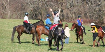 Competitive Trail Riding 101 Virtual Clinic