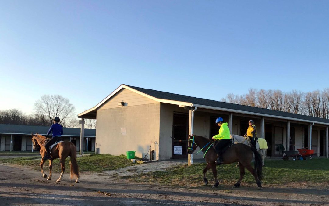 Leaving barns at Chessie