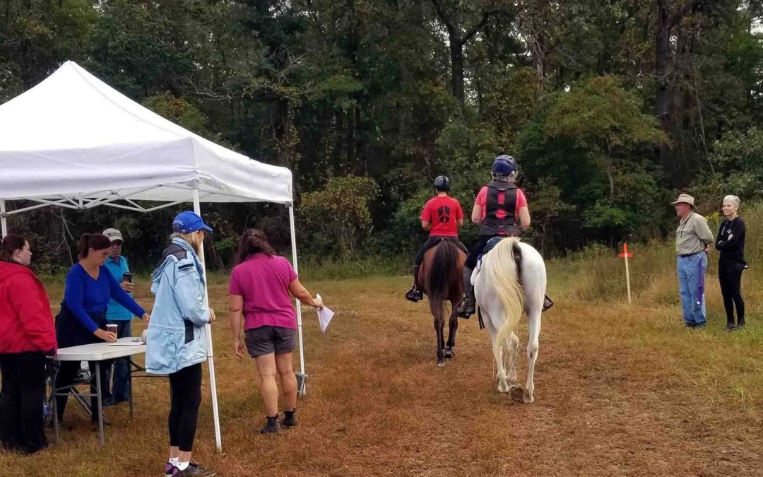 Leaving camp
