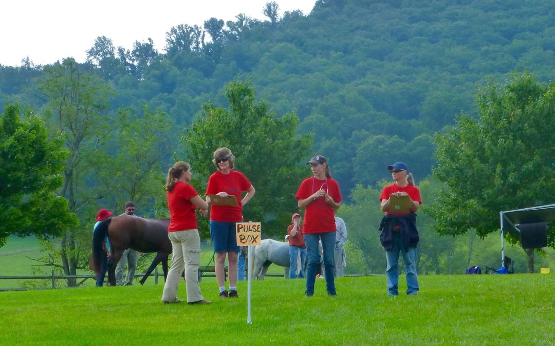 More volunteers
