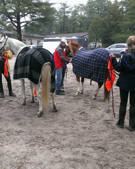 NJ vetting