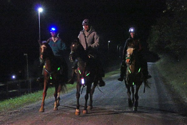 Night riding