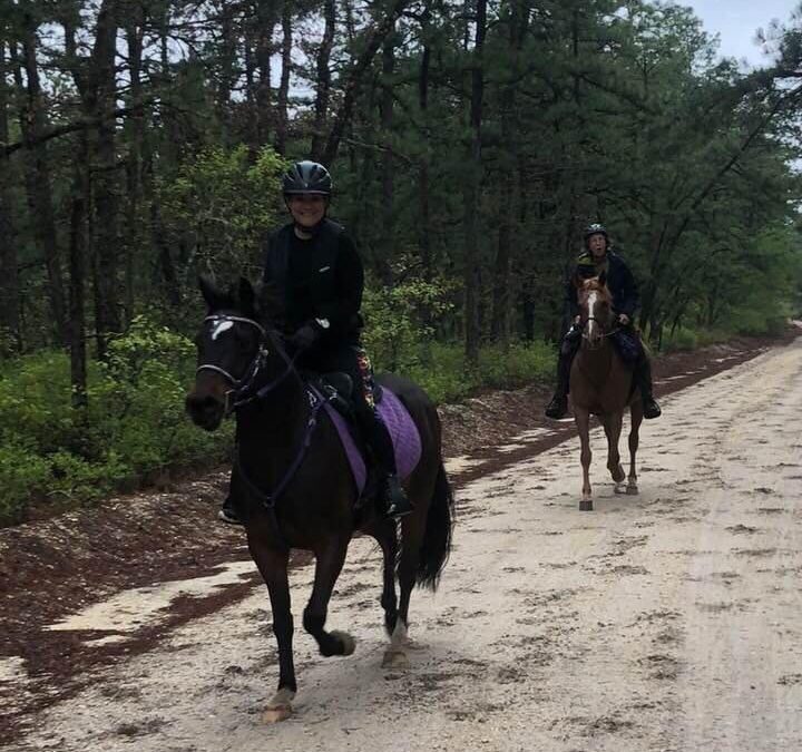 On trail NJ