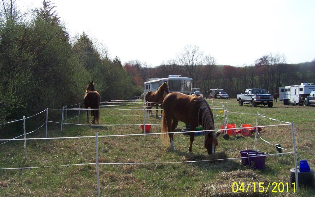 Ridecamp Foxcatcher