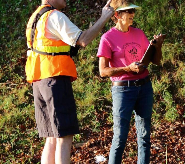 Road crossing volunteers