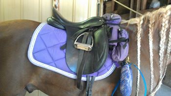 Saddle bags