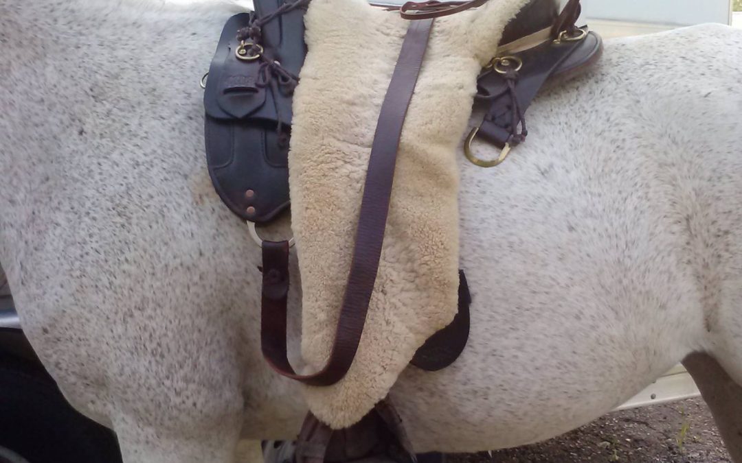 Sheepskin cover