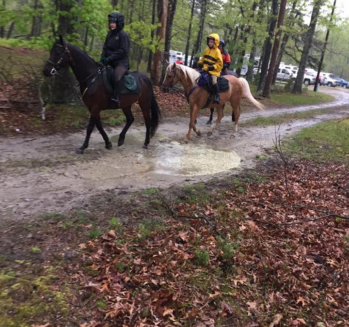 Soggy Foxcatcher