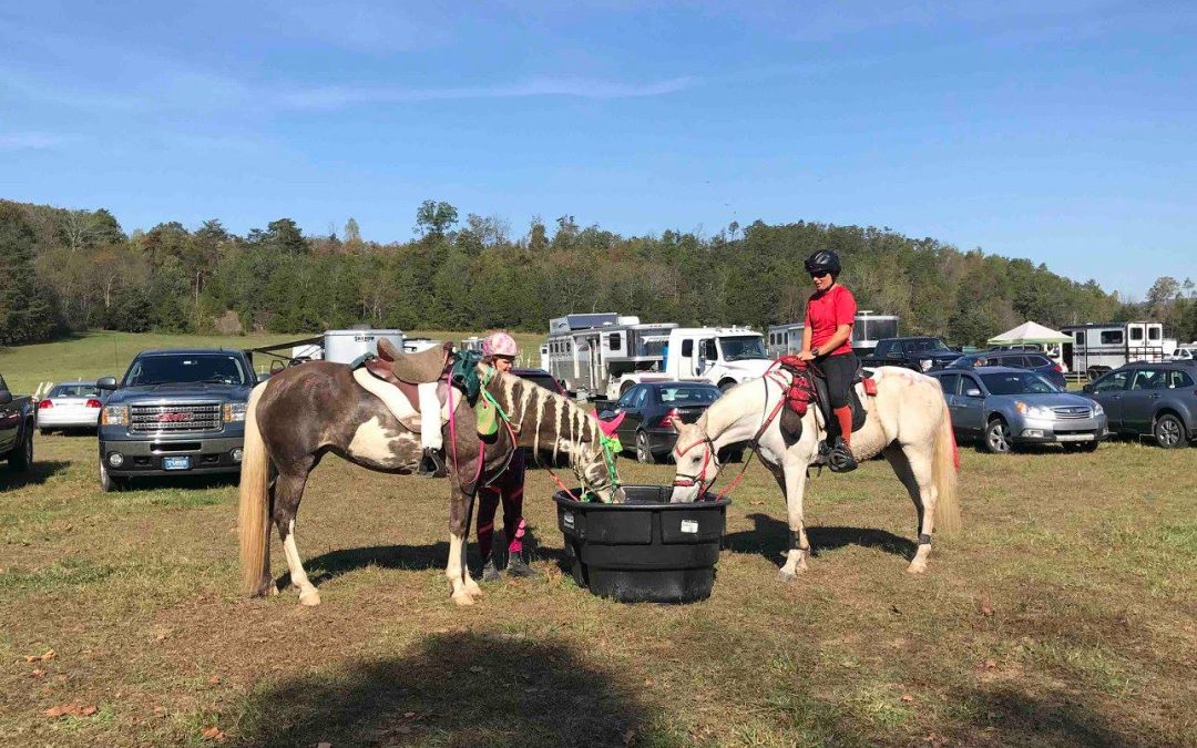 Sonja and Dawn Fort Valley