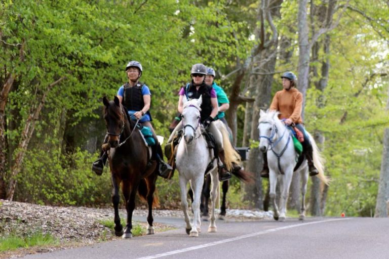 Catra Trail Riders Eastern Competitive Trail Ride Association|Trail With A Purpose